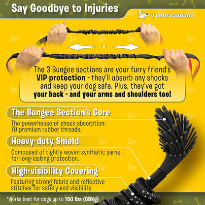 Hands Free Double Dog Leash - No Tangle Dog Leashes for Large Dogs - Heavy Duty Waist Coupler Bungee Lead by